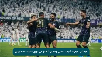 مباشر.. مباراة شباب الأهلي والعين تنطلق في دوري أدنوك للمحترفين